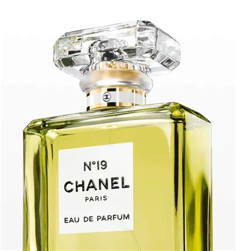 chanel 19 opinie|chanel no 19 perfume review.